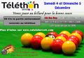 Affiche Telethon 2010 24h billard