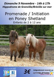 Promenade poney shetland hippodrome Granville Breville