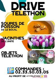 drive telethon granville soupe poisson jacinthes objets