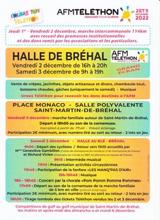animations village telethon brehal