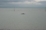 photo aviron-granvillais-2.jpg