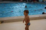 photo evg-natation-telethon-33.jpg