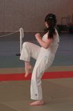 photo coupedelabaie-bodykarate-290.jpg