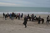 photo promenade-poney-granville-14.jpg