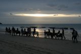 photo promenade-poney-granville-19.jpg