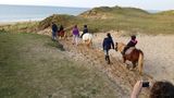 photo poneys-shetland-breville-08.jpg