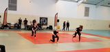 photo coupedelabaie-bodykarate-2018-009.jpg