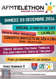 brehal carnet spirales
